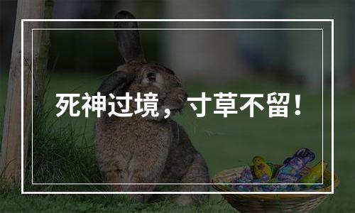 死神过境，寸草不留！