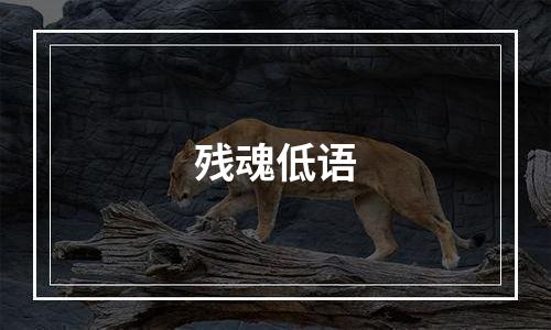 残魂低语
