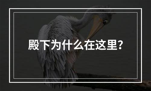 殿下为什么在这里？