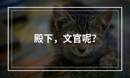 殿下，文官呢？