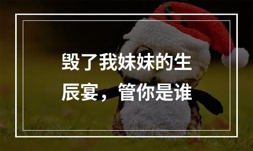 毁了我妹妹的生辰宴，管你是谁