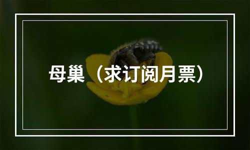 母巢（求订阅月票）