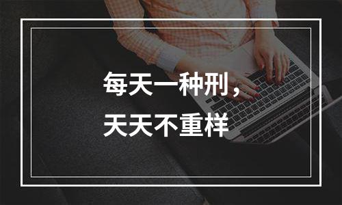 每天一种刑，天天不重样