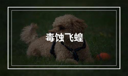 毒蚀飞蝗