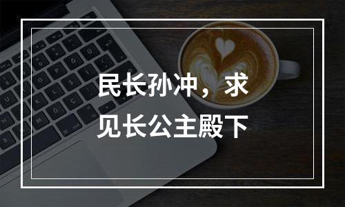 民长孙冲，求见长公主殿下