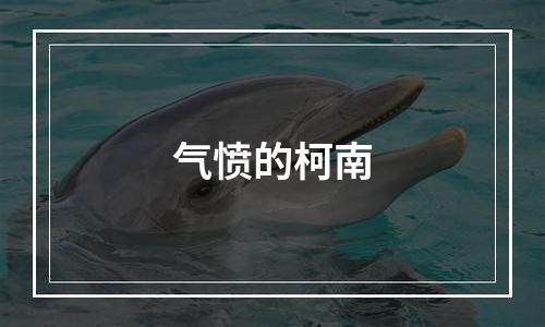 气愤的柯南