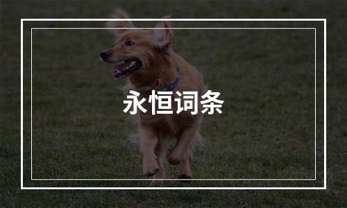 永恒词条