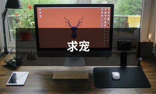 求宠