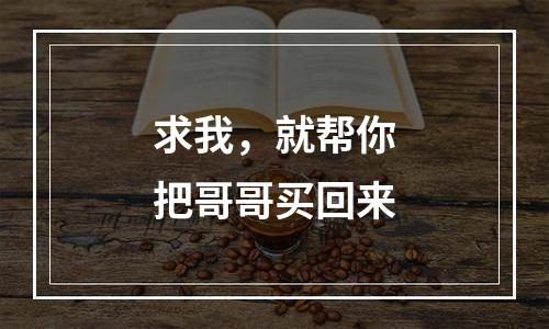 求我，就帮你把哥哥买回来