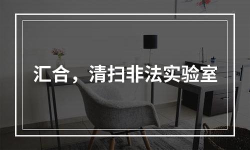 汇合，清扫非法实验室