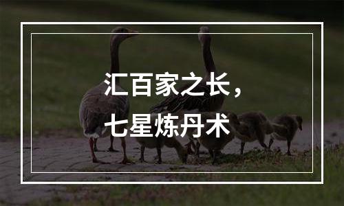 汇百家之长，七星炼丹术