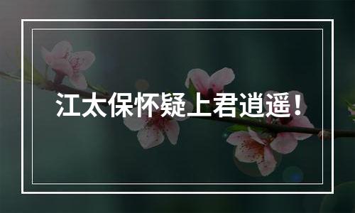 江太保怀疑上君逍遥！