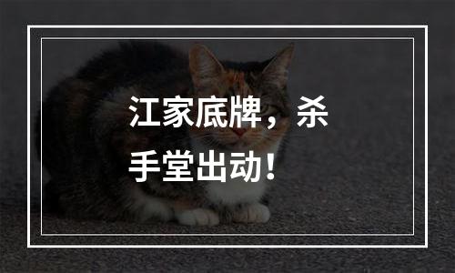 江家底牌，杀手堂出动！
