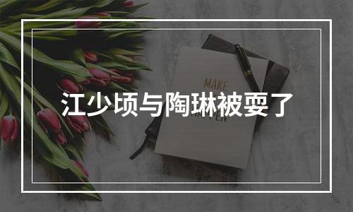 江少顷与陶琳被耍了