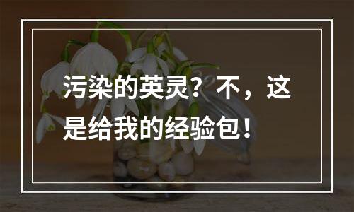 污染的英灵？不，这是给我的经验包！