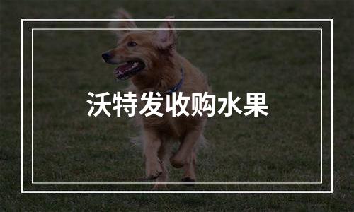 沃特发收购水果