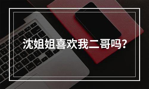 沈姐姐喜欢我二哥吗？