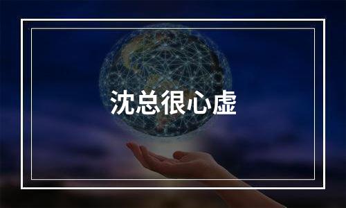 沈总很心虚