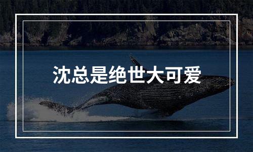 沈总是绝世大可爱