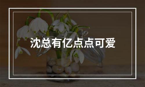 沈总有亿点点可爱