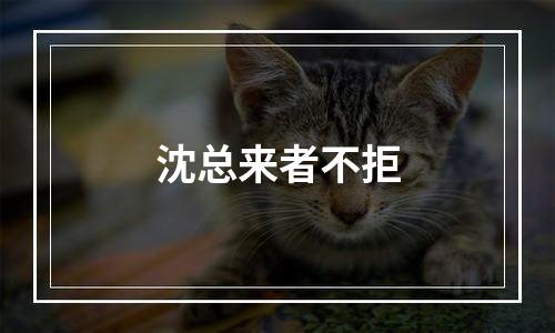 沈总来者不拒