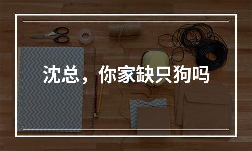 沈总，你家缺只狗吗