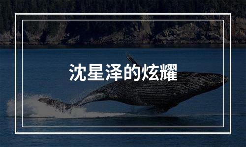 沈星泽的炫耀