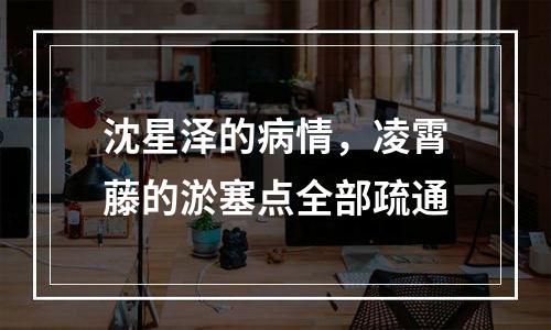 沈星泽的病情，凌霄藤的淤塞点全部疏通