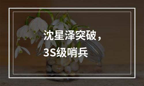 沈星泽突破，3S级哨兵