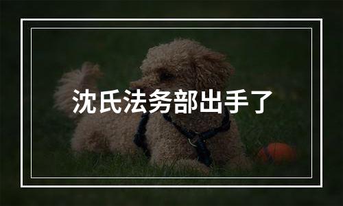 沈氏法务部出手了