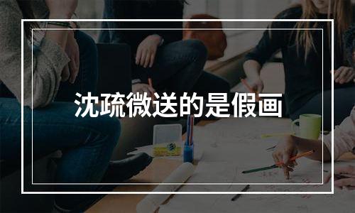 沈疏微送的是假画