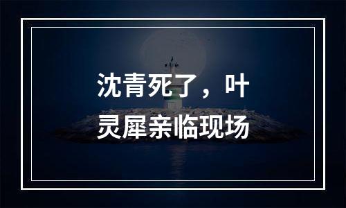 沈青死了，叶灵犀亲临现场
