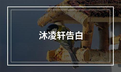 沐凌轩告白