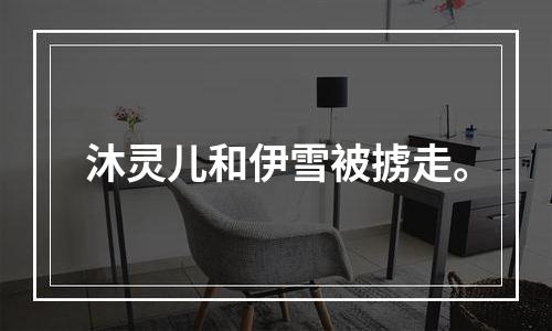 沐灵儿和伊雪被掳走。