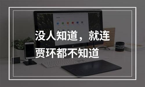 没人知道，就连贾环都不知道