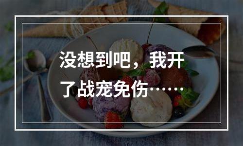 没想到吧，我开了战宠免伤……