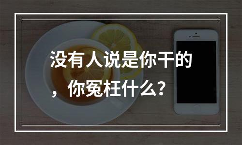 没有人说是你干的，你冤枉什么？