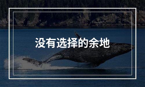 没有选择的余地