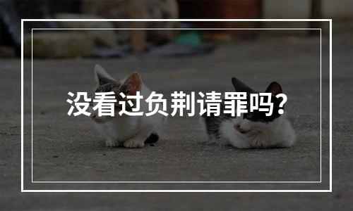 没看过负荆请罪吗？
