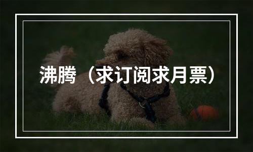 沸腾（求订阅求月票）