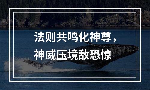法则共鸣化神尊，神威压境敌恐惊