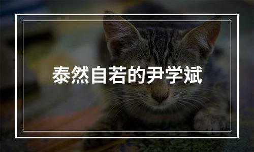 泰然自若的尹学斌