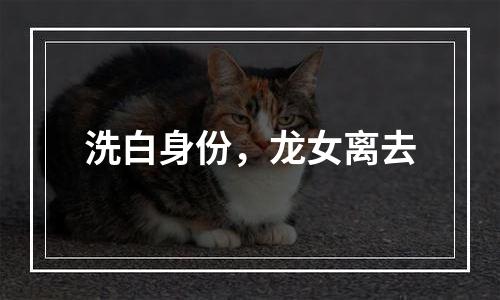 洗白身份，龙女离去