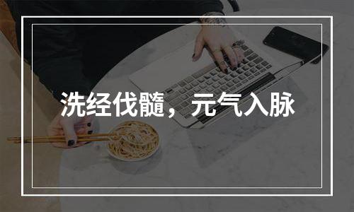 洗经伐髓，元气入脉