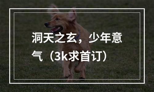 洞天之玄，少年意气（3k求首订）