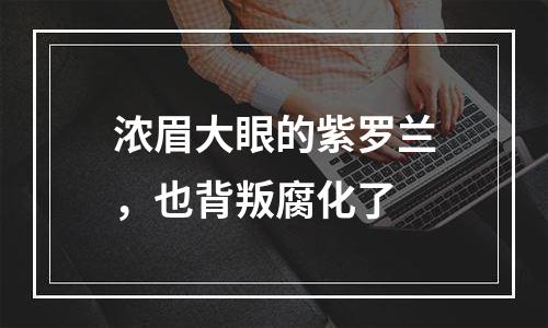 浓眉大眼的紫罗兰，也背叛腐化了