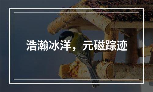 浩瀚冰洋，元磁踪迹