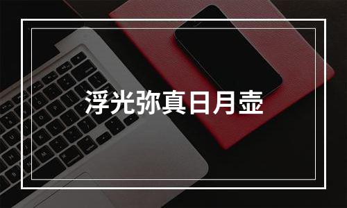 浮光弥真日月壶