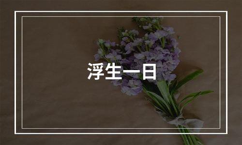 浮生一日