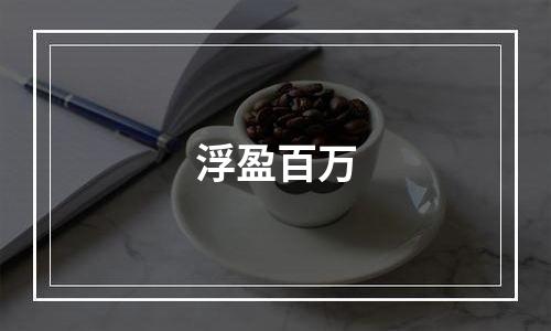浮盈百万